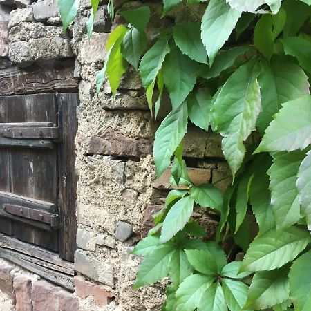 Gite Spacieux Et Cosy A La Campagne Proche De Strasbourg Achenheim Εξωτερικό φωτογραφία