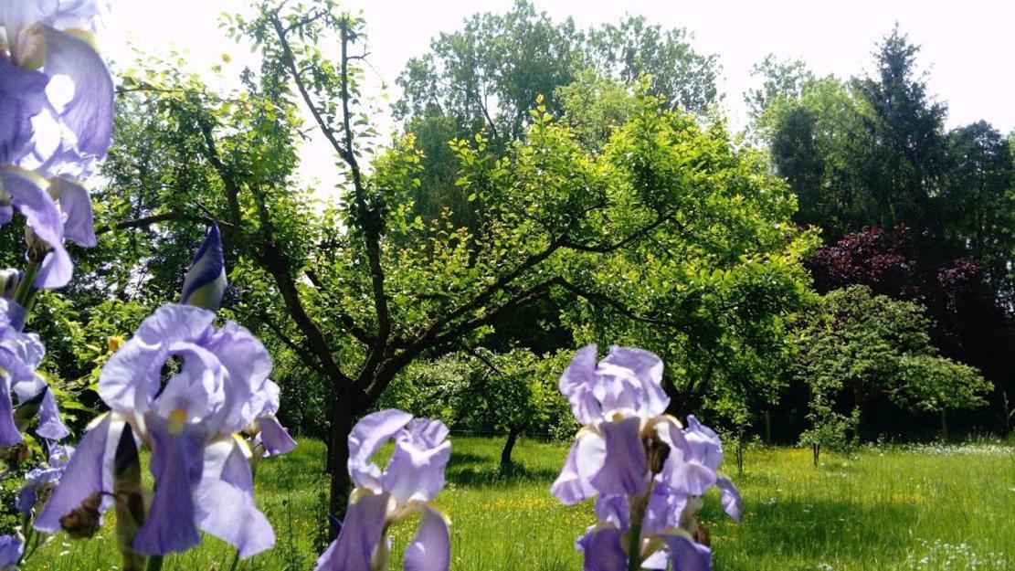 Gite Spacieux Et Cosy A La Campagne Proche De Strasbourg Achenheim Εξωτερικό φωτογραφία