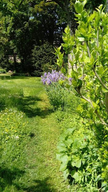 Gite Spacieux Et Cosy A La Campagne Proche De Strasbourg Achenheim Εξωτερικό φωτογραφία