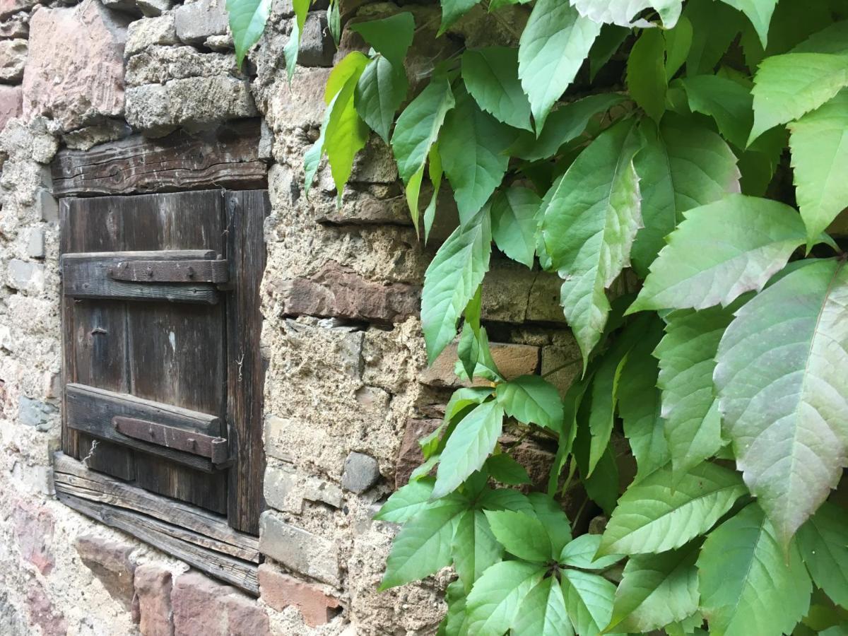 Gite Spacieux Et Cosy A La Campagne Proche De Strasbourg Achenheim Εξωτερικό φωτογραφία