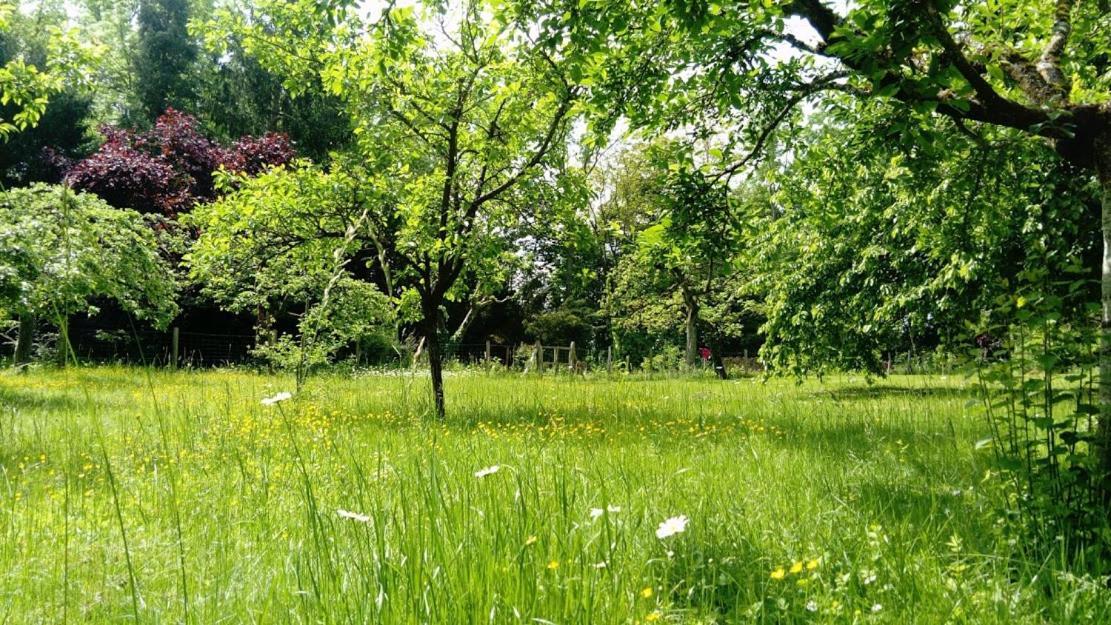 Gite Spacieux Et Cosy A La Campagne Proche De Strasbourg Achenheim Εξωτερικό φωτογραφία